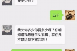 怒江为什么选择专业追讨公司来处理您的债务纠纷？